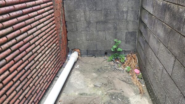 KakaoTalk_20240614_191427136.jpg